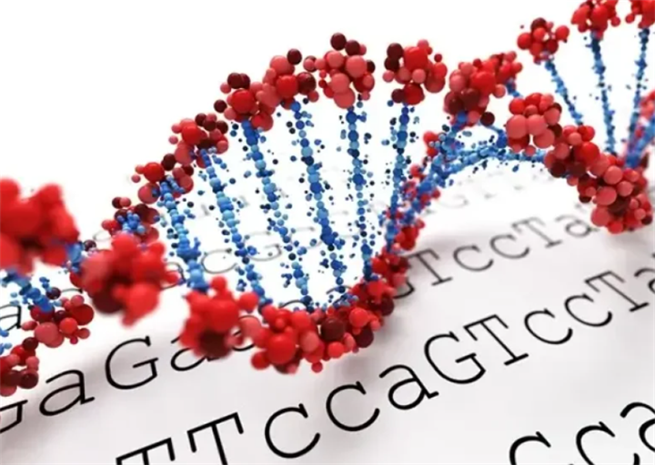 3D double-helix DNA molecular structure laid over genetic base sequence text for gene and biotech research visualization